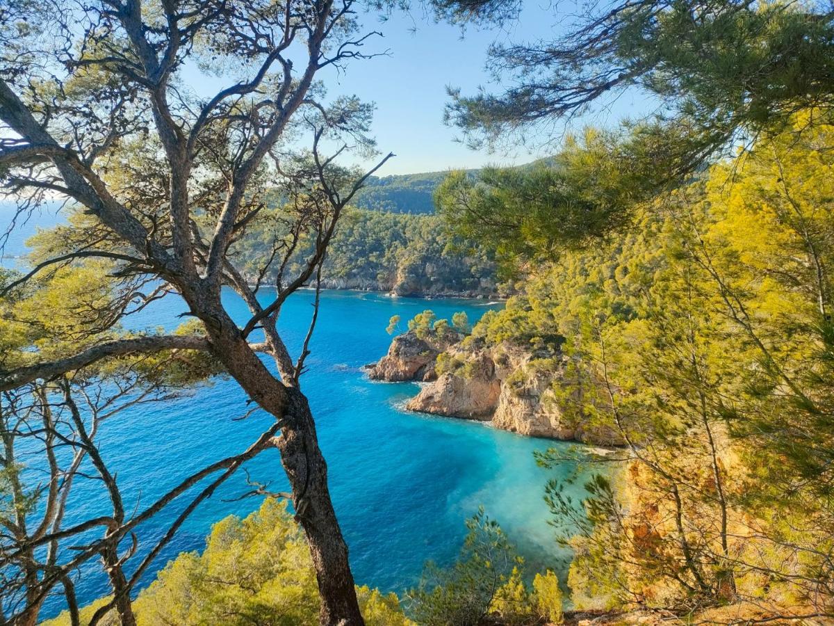 T3 Saint Cyr Sur Mer 83270 Bagian luar foto